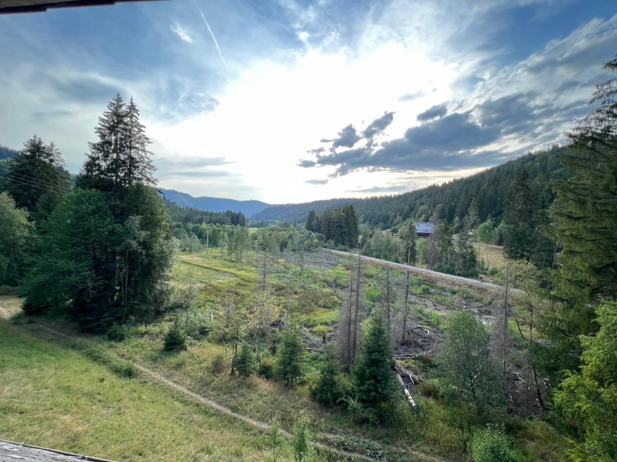 BlackNCozy - Großzügiges Luxusappartement mit Boxspringbetten und Heimkino Feldberg  Exterior foto